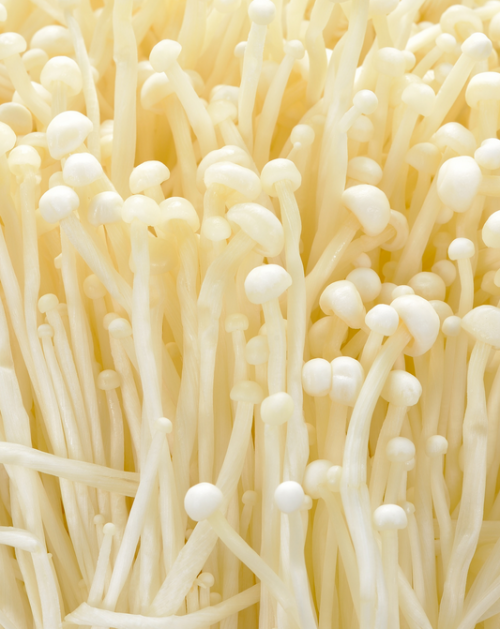 Enokitake