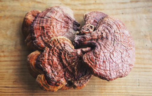 Reishi